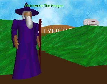 Enter The Hedges